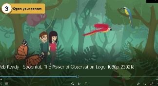 Power of Observation — Spoonful topic thumbnail